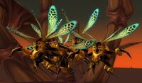 Image of Hive'Zora Wasp