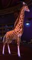 Aurosalia giraffe.jpg