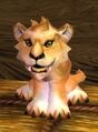 A lion cub.