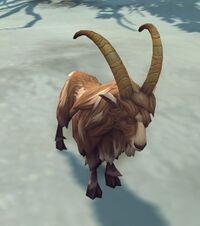 Image of Lost Goat