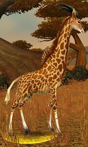 Image of Wandering Barrens Giraffe