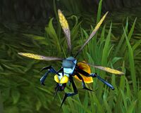 Image of Shrine Fly