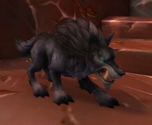 Mag'har orc Wolf