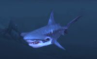 Image of Bluewater Shark