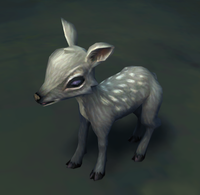 Image of Plains Fawn