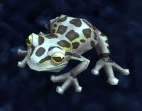 Image of Small Frog