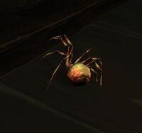 Image of Underground Spider