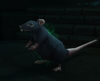 Image of Plagued Rat