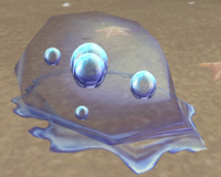 Image of Saltsea Droplet