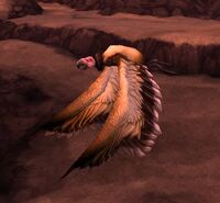 Image of Fleshripper Vulture