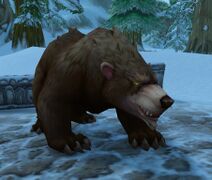 Dwarf Bear