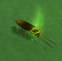 Image of Irradiated Roach