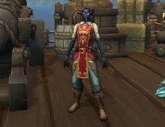 The tabard and eyepatch from winning the previous Plunderstorm