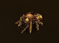 Image of Gold Beetle