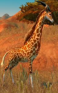Image of Dusthoof Giraffe
