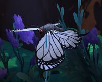Grasstail Butterfly white.jpg