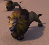 Image of Salhet's Lion