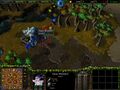 Warcraft III creep Harpy Windwitch.jpg