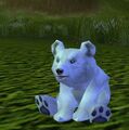 [Baby Blizzard Bear]