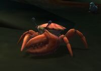 Image of Deadmines Crab