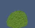 Lime Brain Coral.jpg