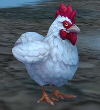 Image of Dun Morogh Chicken