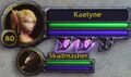 New UI from BlizzCon 2009.