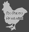 Chicken placeholder Chicken nopic.jpg