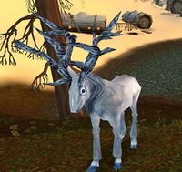 Image of Silvercoat Stag