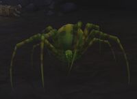 Image of Trapdoor Spider