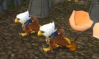Image of Wildhammer Gryphon Hatchling