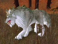 Image of Kor'kron Battlewolf