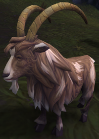 Image of Lowlands Goat