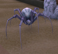 Image of Tomb Spider