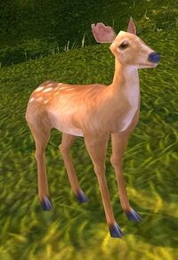 Image of Tawnyhide Fawn