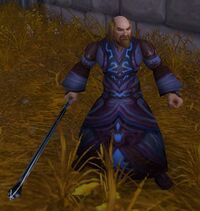 Image of Stormwind Mage