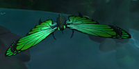 Image of Emerald Flutter