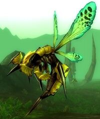 Image of Gorishi Wasp