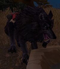 Image of Riding Wolf