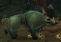 Image of Withered Battle Boar