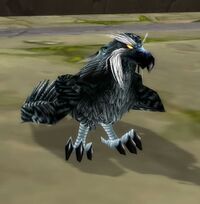 Image of Druid of the Talon