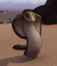 Image of Soultainted Cobra