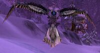 Image of Winterspring Owl