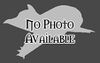 Sea lion placeholder Sealion nopic.jpg