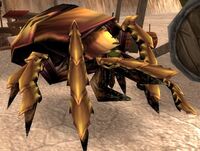 Image of Silithid Searcher