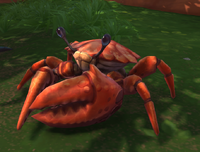 Image of Conscripted Crab