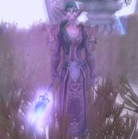 Image of Archmage Selwyn