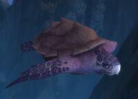 Image of Archelion Great Turtle