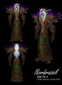 Nordrassil Harness on a male night elf.