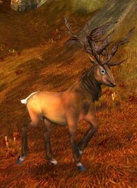 Image of Mosshoof Stag